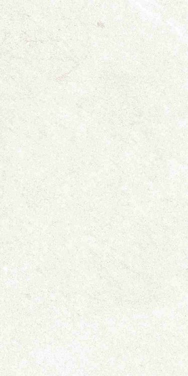 Dhara White Matte 12 x 24